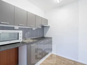 Pronájem bytu 1+kk, Rakovník, V Jamce, 33 m2