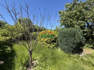 Prodej zahrady, Litvínov - Horní Litvínov, S. K. Neumanna, 349 m2