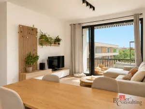 Pronájem bytu 2+kk, Plzeň - Východní Předměstí, Kartónová, 54 m2