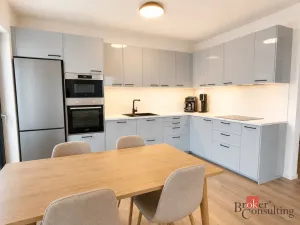 Pronájem bytu 2+kk, Plzeň - Východní Předměstí, Kartónová, 54 m2