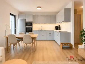 Pronájem bytu 2+kk, Plzeň - Východní Předměstí, Kartónová, 54 m2
