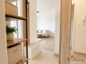 Pronájem bytu 2+kk, Plzeň - Východní Předměstí, Kartónová, 54 m2