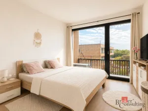 Pronájem bytu 2+kk, Plzeň - Východní Předměstí, Kartónová, 54 m2