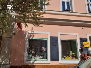 Pronájem obchodního prostoru, Čáslav, Gen. Františka Moravce, 44 m2