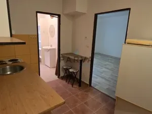 Pronájem bytu 1+1, Plzeň - Východní Předměstí, Guldenerova, 34 m2