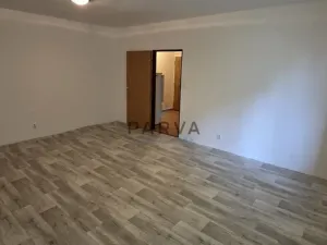 Pronájem bytu 1+1, Plzeň - Východní Předměstí, Guldenerova, 34 m2