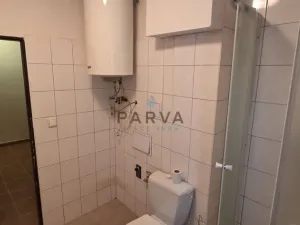 Pronájem bytu 1+1, Plzeň - Východní Předměstí, Guldenerova, 34 m2