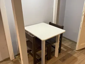 Pronájem bytu 1+kk, Praha - Nové Město, Rumunská, 25 m2