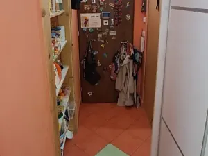 Prodej bytu 3+kk, Brno, Meluzínova, 55 m2