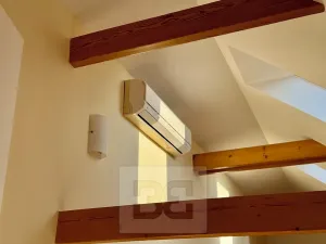 Pronájem bytu 3+kk, Velké Opatovice, Sokolská, 195 m2