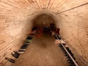 Prodej vinného sklepa, Týnec, Sportovní, 55 m2