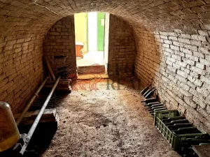 Prodej vinného sklepa, Týnec, Sportovní, 55 m2