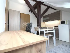 Pronájem bytu 1+kk, Praha - Smíchov, Lidická, 19 m2