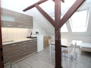 Pronájem bytu 1+kk, Praha - Smíchov, Lidická, 19 m2