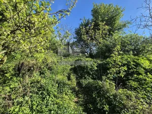 Prodej zahrady, Šlapanice, 257 m2