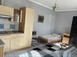 Pronájem pokoje, Praha - Vinohrady, 18 m2