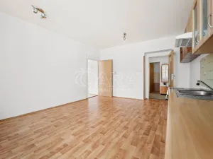 Pronájem bytu 2+1, Rakovník - Rakovník II, Ottova, 70 m2