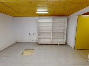 Prodej rodinného domu, Raná, 168 m2