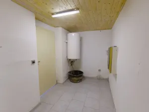 Prodej rodinného domu, Raná, 168 m2