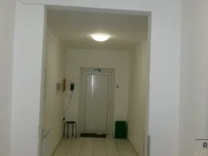 Pronájem výrobních prostor, Brno - Brněnské Ivanovice, 173 m2