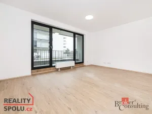 Pronájem bytu 1+kk, Plzeň, Železná, 40 m2