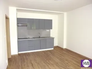 Prodej bytu 2+kk, Slapy, 36 m2