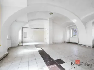 Pronájem bytu 5+1, Chotěšov, Plzeňská, 240 m2