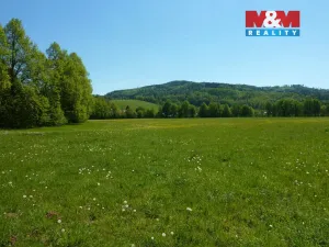 Prodej louky, Náchod - Běloves, 20495 m2