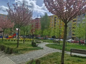 Pronájem bytu 1+1, Bruntál, Horní, 36 m2