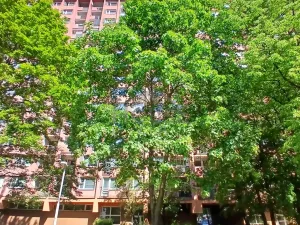 Prodej bytu 4+1, Praha, Rajmonova, 86 m2