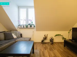 Pronájem bytu 2+1, Horka nad Moravou, nám. Osvobození, 45 m2