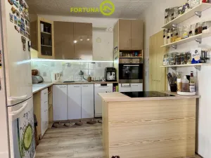 Prodej rodinného domu, Budišov nad Budišovkou, Horská, 206 m2
