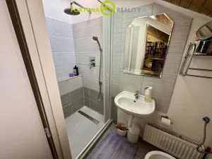 Prodej rodinného domu, Budišov nad Budišovkou, Horská, 206 m2