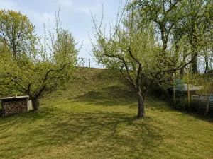 Prodej rodinného domu, Černovice, Táborská, 93 m2