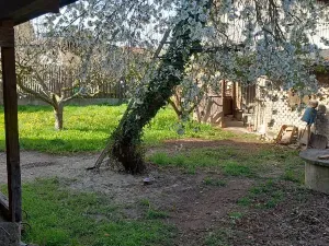 Prodej rodinného domu, Chrášťany, 300 m2