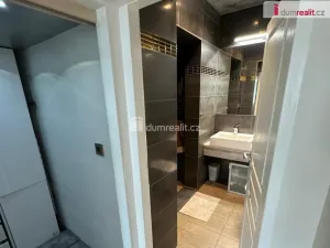 Pronájem bytu 2+kk, Praha - Vinohrady, Mánesova, 62 m2