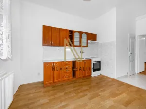 Pronájem bytu 1+1, Plzeň - Božkov, Palírenská, 35 m2