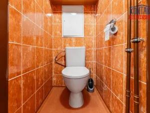 Prodej bytu 3+1, Černá v Pošumaví - Bližná, 76 m2