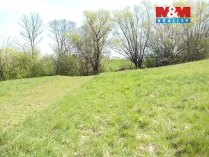 Prodej zahrady, Horní Bludovice - Prostřední Bludovice, 8295 m2