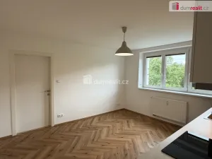 Pronájem bytu 2+kk, Ostrov, Lidická, 41 m2
