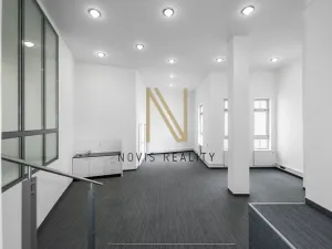 Pronájem kanceláře, Plzeň - Jižní Předměstí, Americká, 140 m2