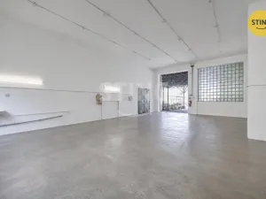 Pronájem výrobních prostor, Pardubice, S. K. Neumanna, 165 m2