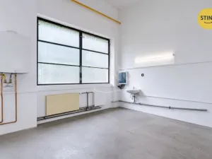 Pronájem výrobních prostor, Pardubice, S. K. Neumanna, 165 m2