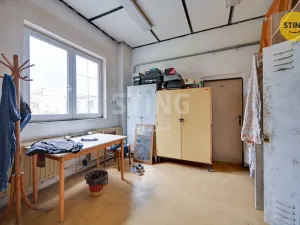 Pronájem výrobních prostor, Pardubice, S. K. Neumanna, 165 m2