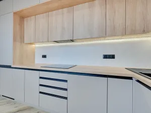 Pronájem bytu 2+kk, Ostrava - Mariánské Hory, Korunní, 55 m2