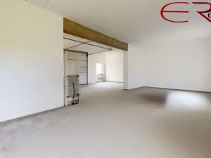 Prodej rodinného domu, Pěnčín - Alšovice, 394 m2