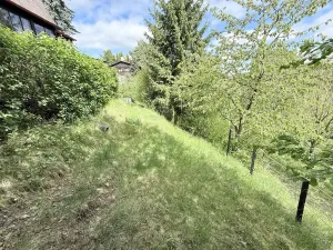 Prodej chaty, Bělá pod Bezdězem, Nad Kuřívodskou Silnicí, 120 m2