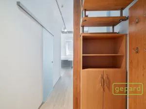 Pronájem bytu 2+kk, Praha - Vinohrady, Perucká, 79 m2