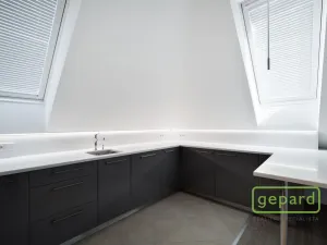 Pronájem bytu 2+kk, Praha - Vinohrady, Perucká, 71 m2