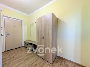 Prodej bytu 1+1, Vsetín, Luh, 24 m2